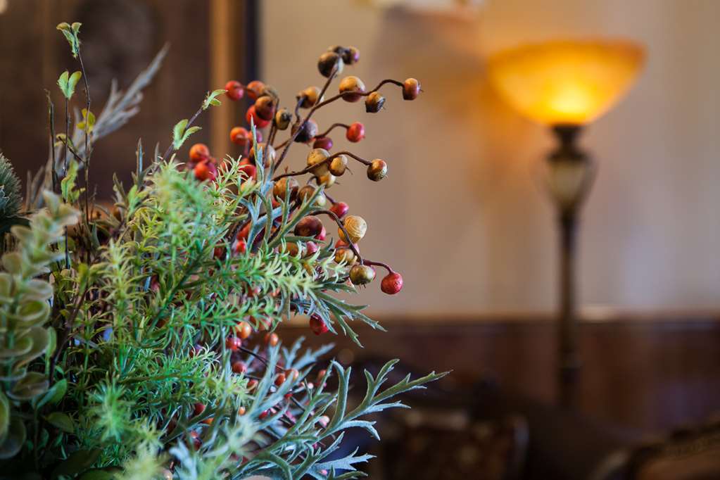 O'Brien Riverwalk Boutique Hotel Сан-Антонио Интерьер фото